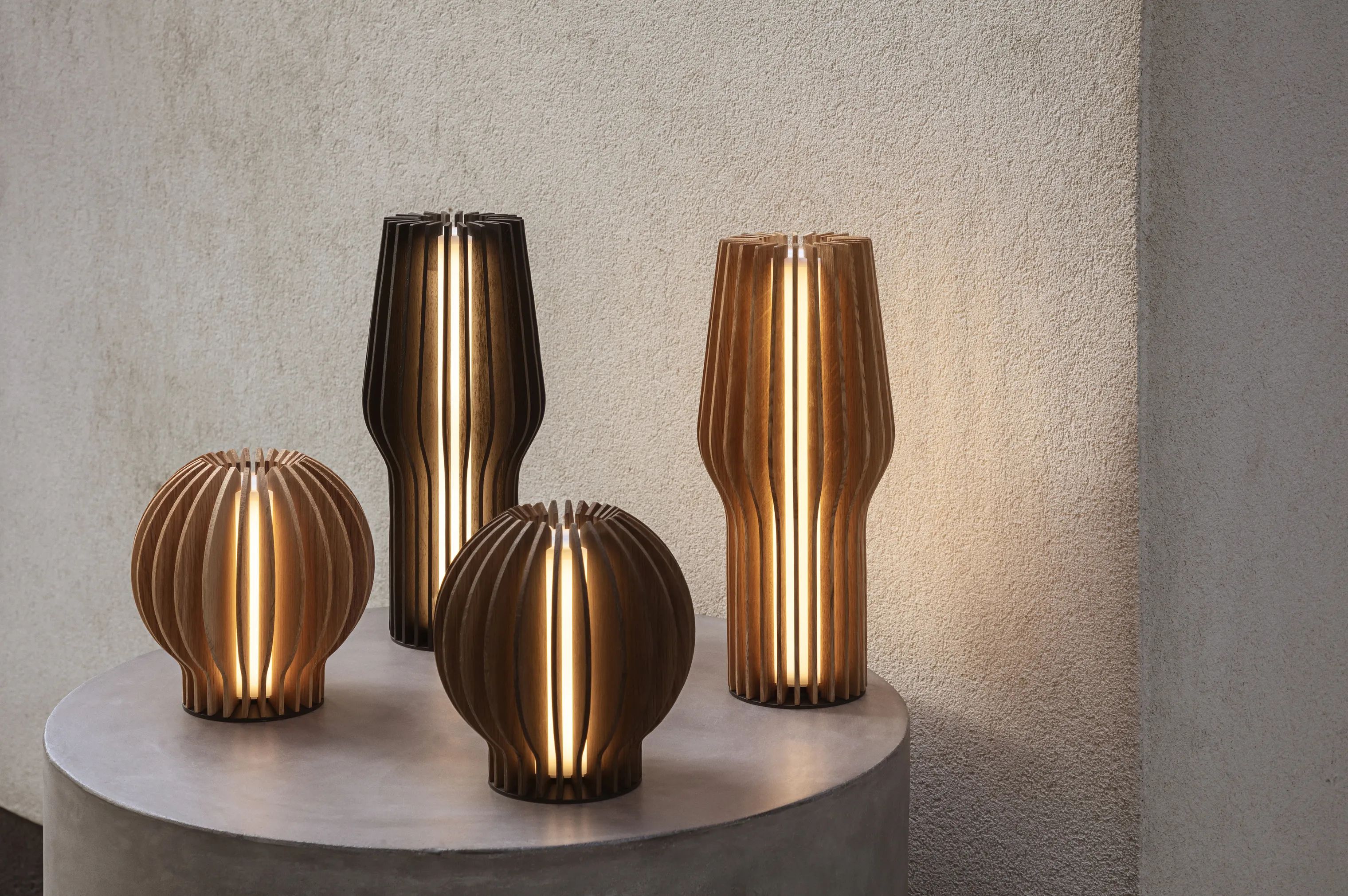 Eva Solo Bordlamper Radiant LED Lampe i Smoked oak, 2