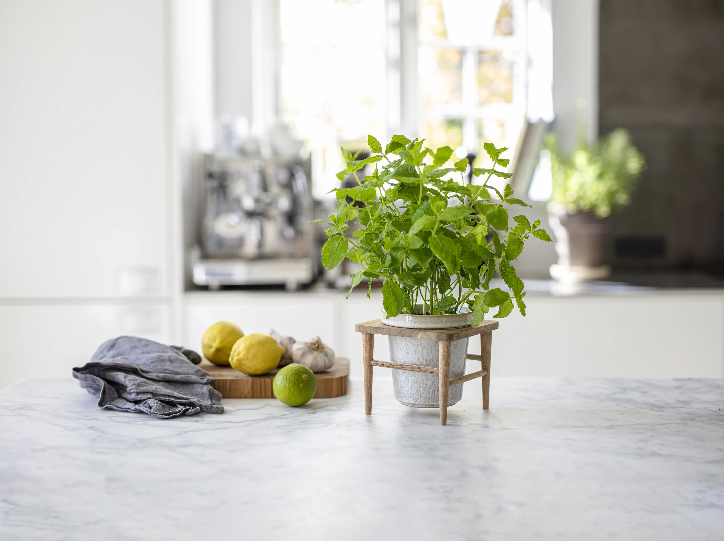 CASA Living Urtepotteskjulere Sofia Urtepotte i råhvid, 11 cm, 2
