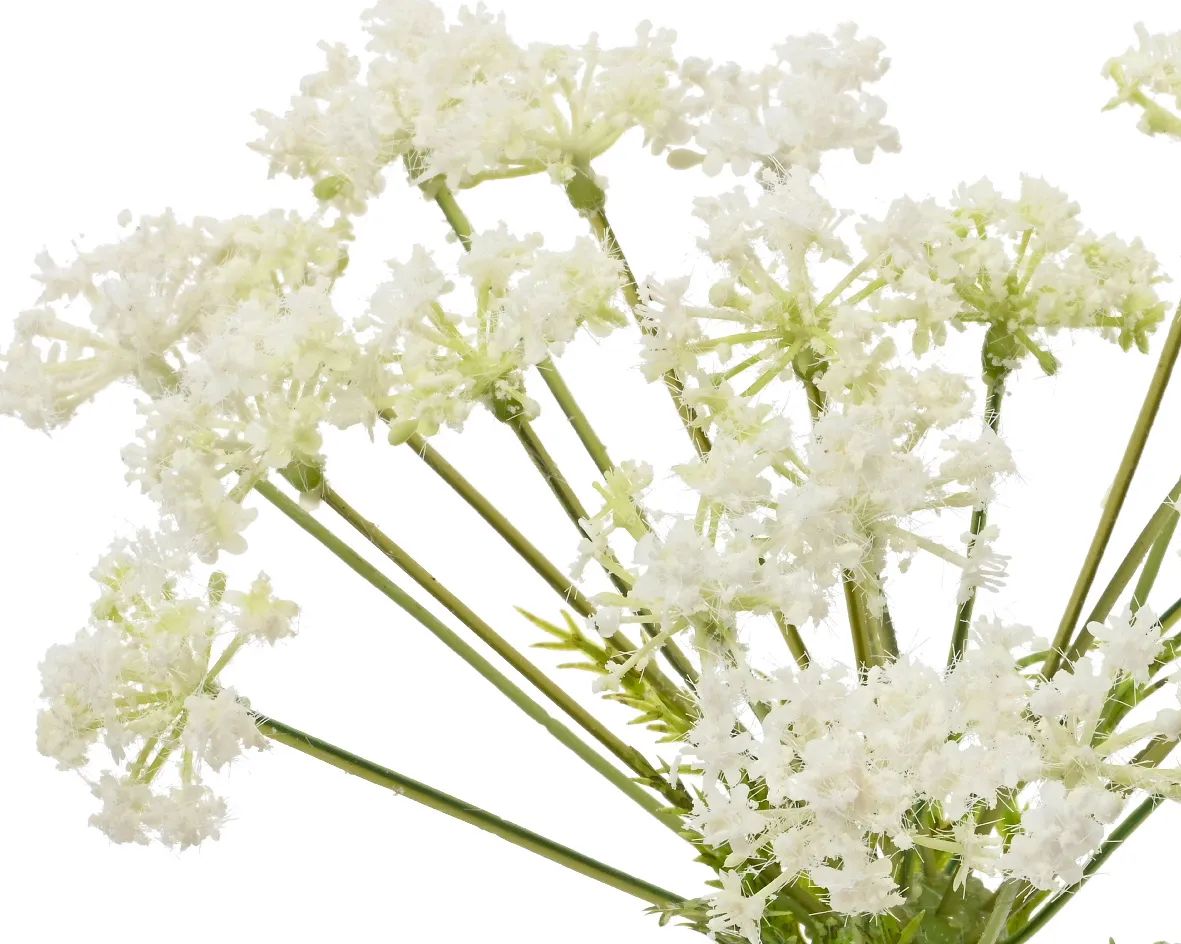CASA Living Kunstige blomster Kunstig Blomst - Vild Gulerod i Hvid, 2