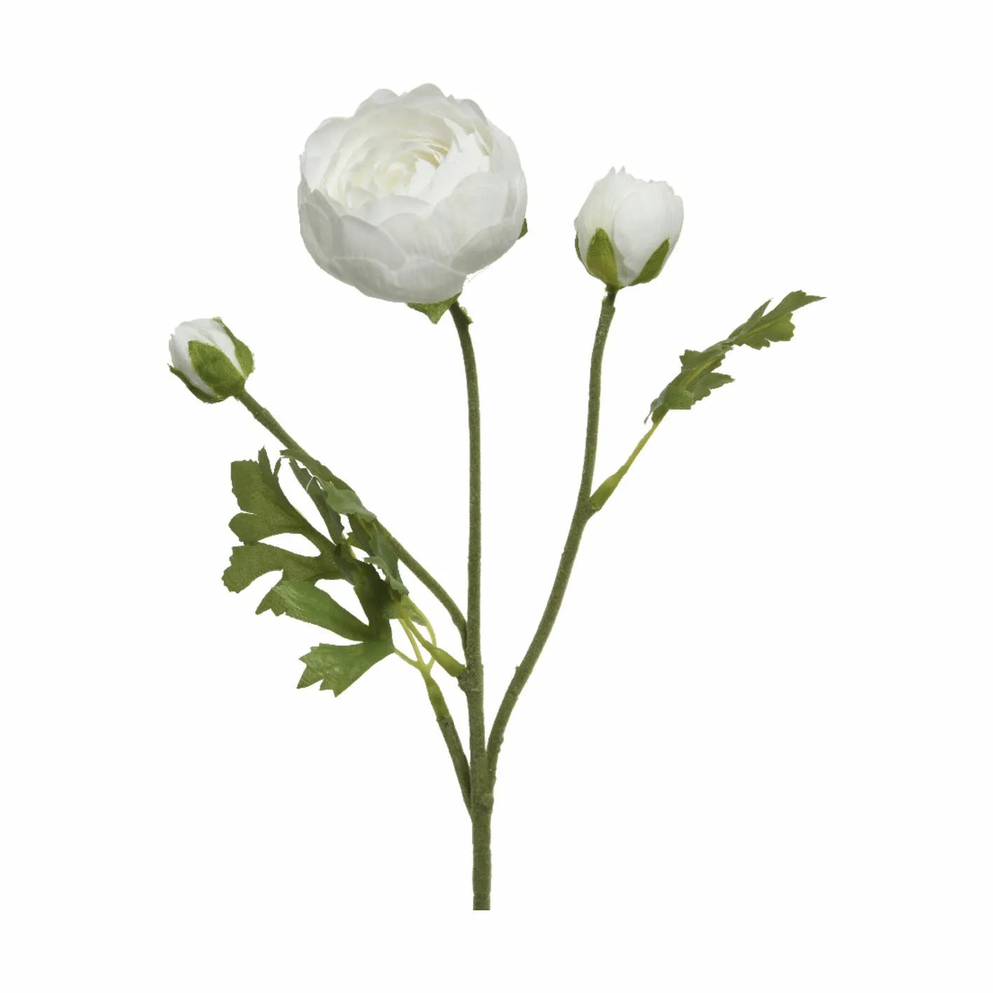 CASA Living Kunstige blomster Kunstig Blomst - Ranunkel i hvid, 1