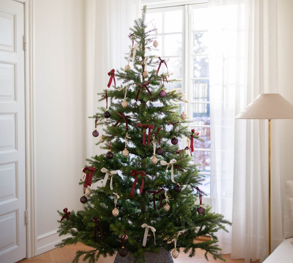 billede af Categories 1000 X 900 2024 11 29T095310792