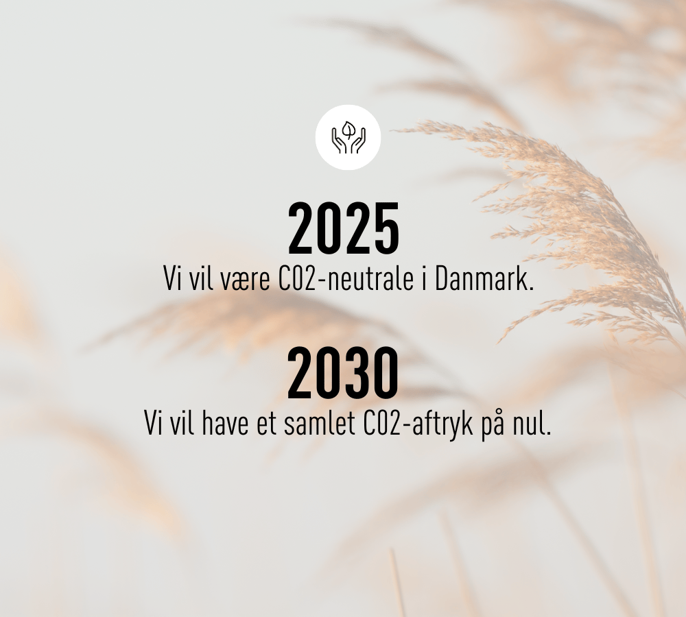 billede af Categories 1000 X 900 2024 05 10T082935919