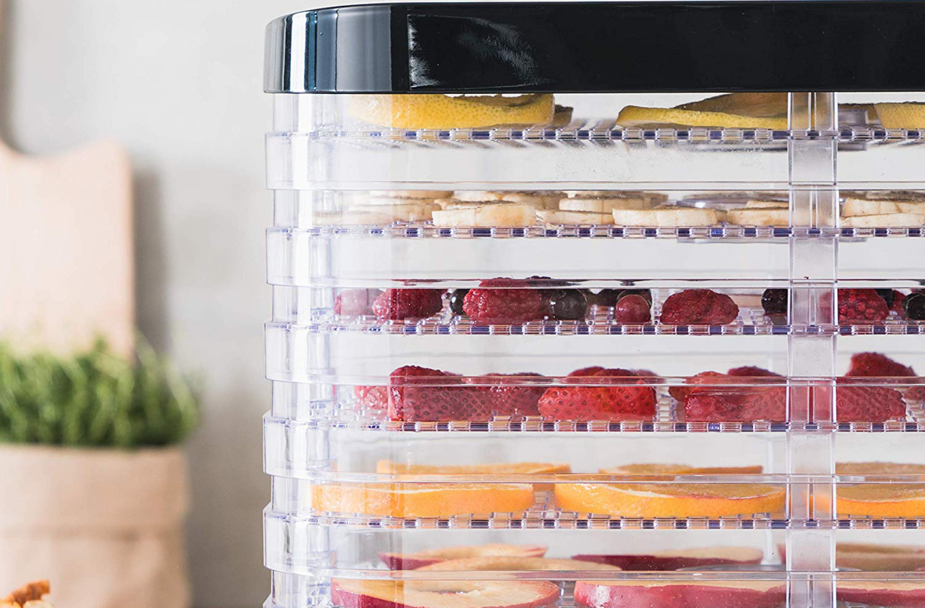 Dehydrator med frugt