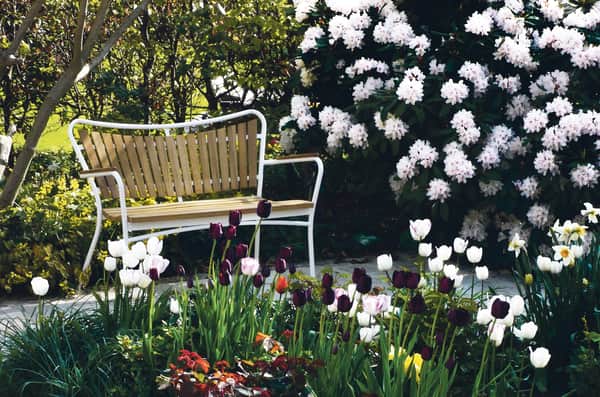 Marguerit Havebænk, hvid, large