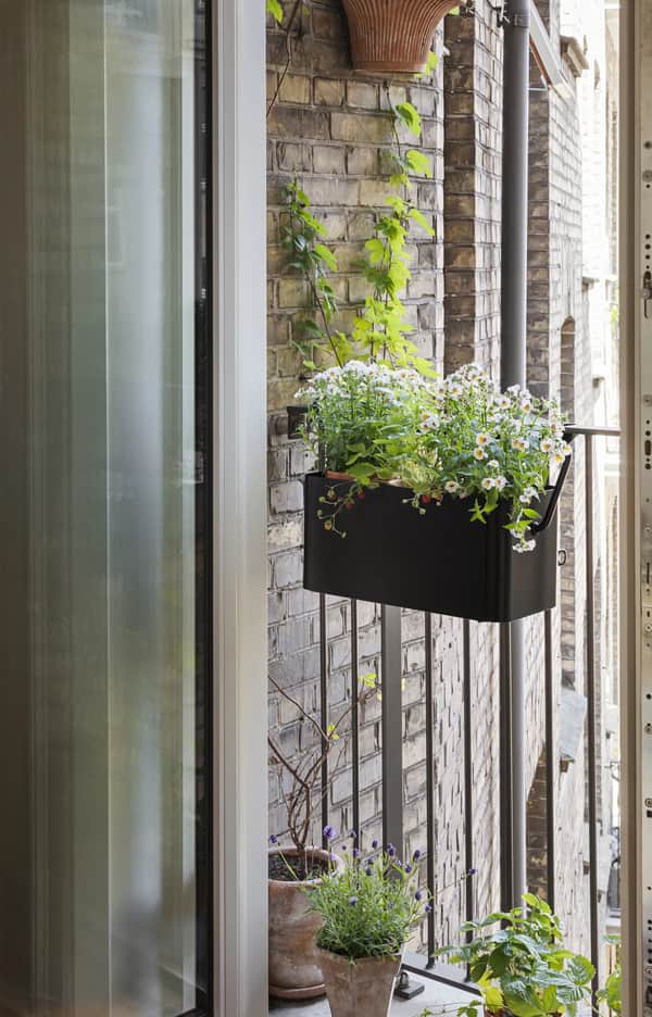 Simply Grow Altankasse, sort, large