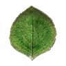 grøn/sort