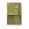 cedar green