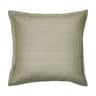 grape leaf green