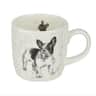 frenchie hund