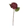 rød hortensia