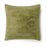 cedar green
