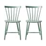 dusty green (pantone 556c)