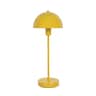 mango yellow