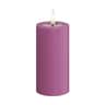 magenta