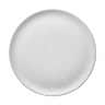arctic white