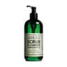 lemon nettle